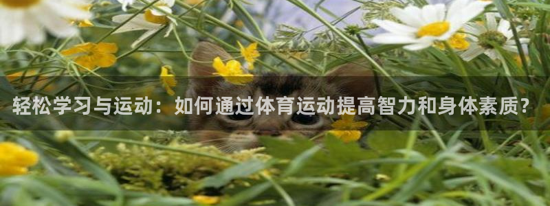 必一运动