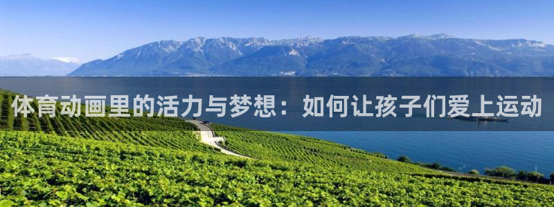 bsport必一运动