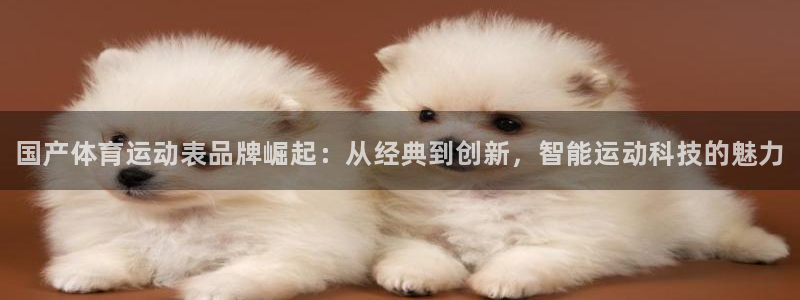 必一运动bsport体育