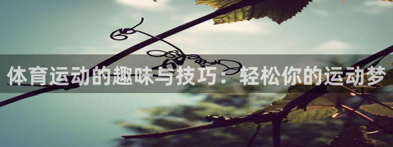 bsports必一运动