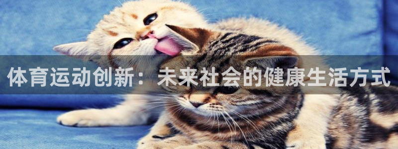 必一运动体育官网
