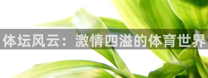 必一运动体育官网入口