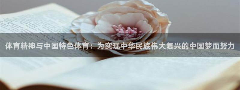 必一运动体育官网入口