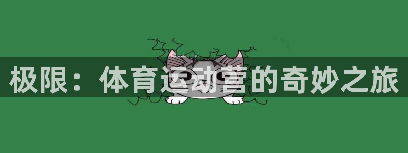 bsports官网 必一运动