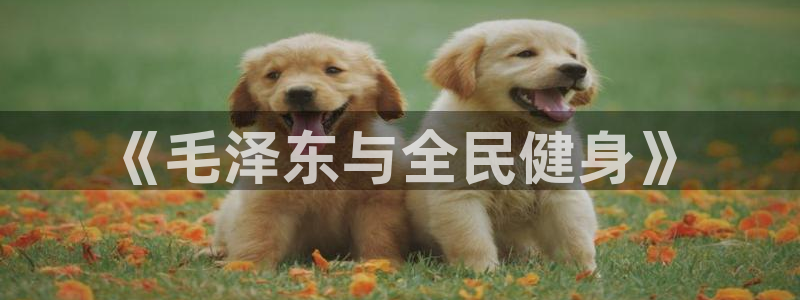必一运动官网入口