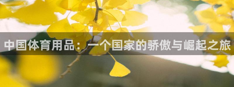 必一运动体育