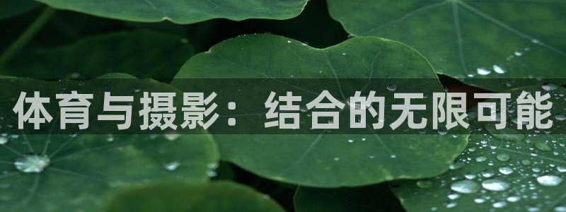 bsports官网 必一运动
