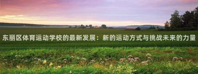 b体育必一运动官网