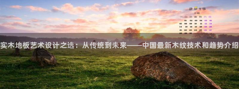 bsports必一运动