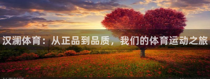 必一运动体育官网