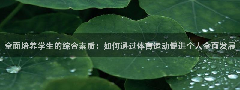 必一运动官网入口