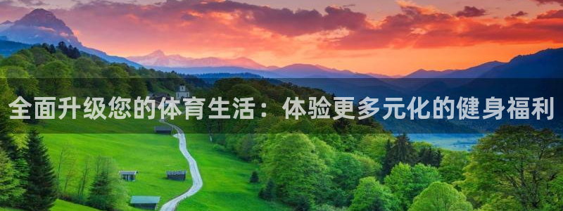 必一运动体育官网入口