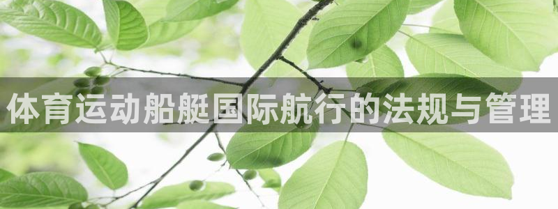 bsport必一运动