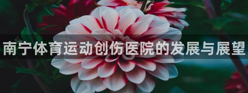 bsport必一运动