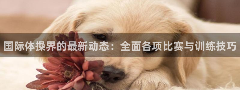必一运动官网