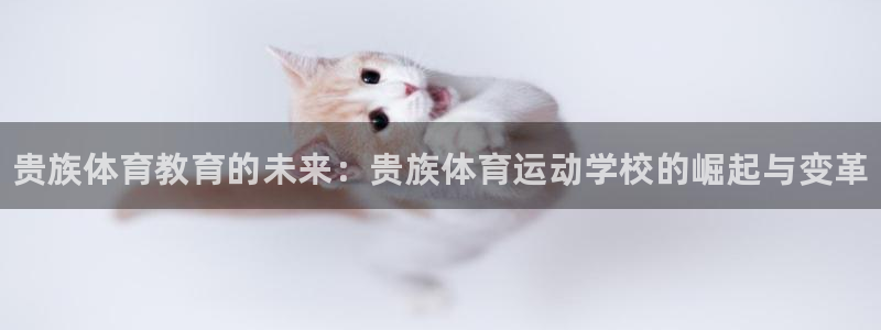 必一运动体育